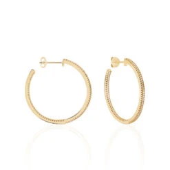 Créoles Karolina Rondes Plaque Or Jaune Oxyde De Zirconium