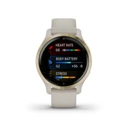 Montre Connectée Garmin Venu 2s